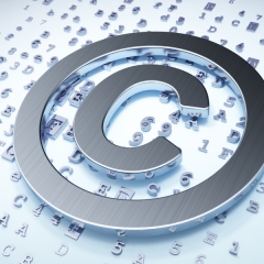 licencja (54 kB)